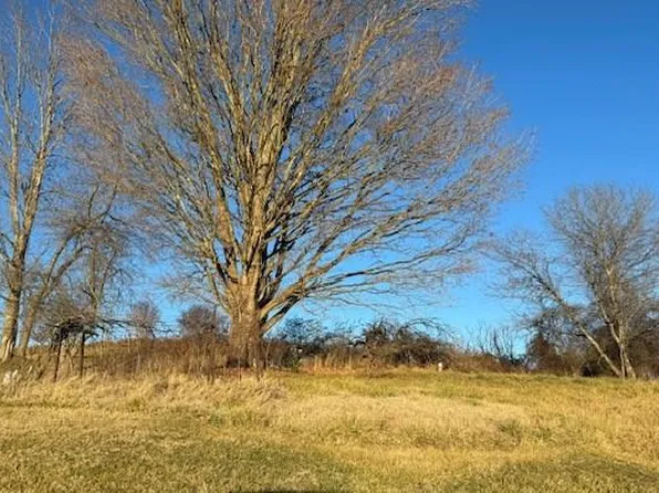 12891 Lindell Rd, Meadowview, VA 24361