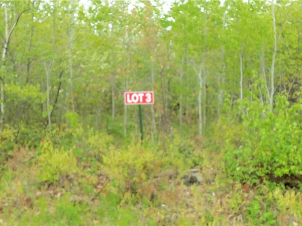 LOT 3 Beaver Dam Road, Spooner, WI 54801