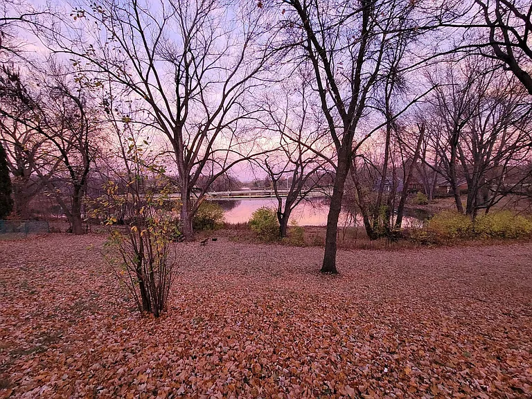 6923 Barberry Ln — Photo 25