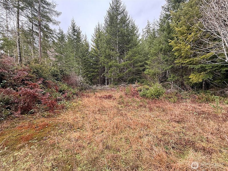 5th image of 10 XX E Shetland Road