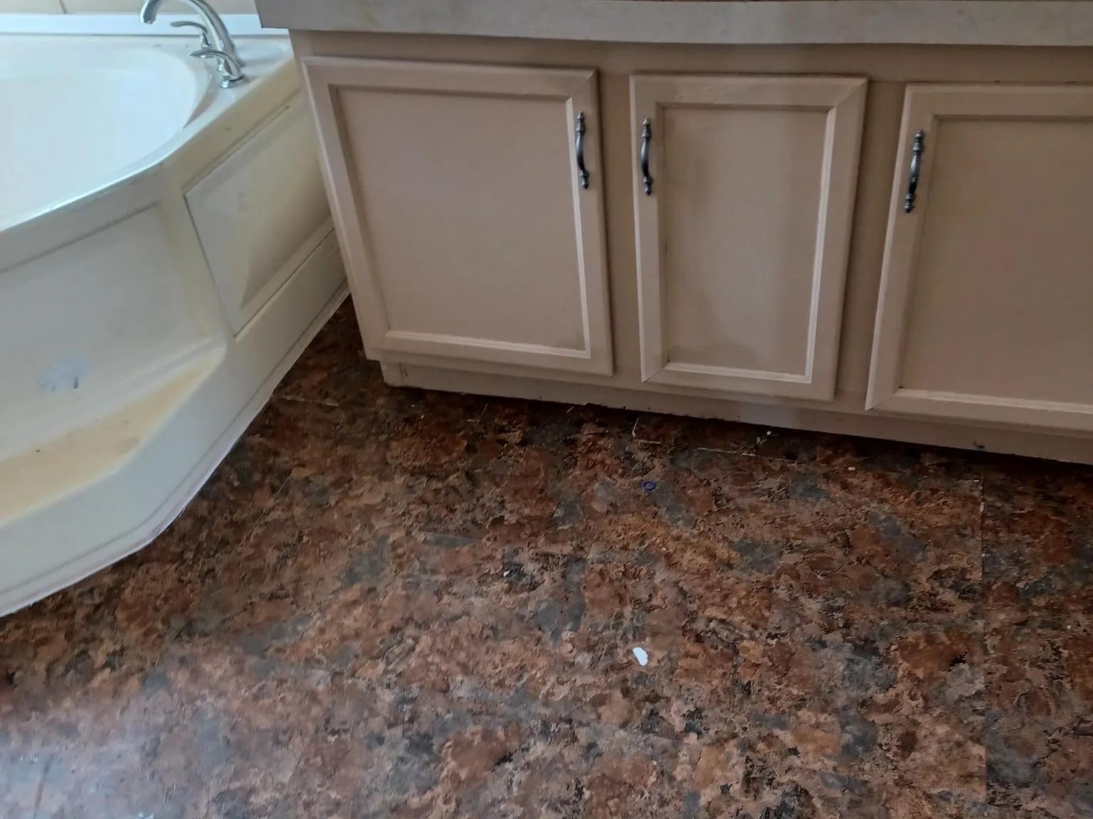 11700 Windmill Palm Ct — Photo 4
