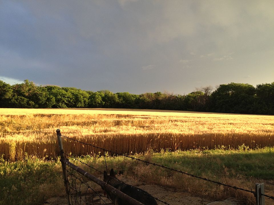 2nd image of 3593 W Smolan Rd