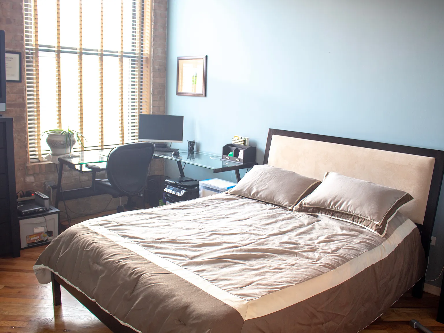 1 bed, 900 sqft, $3,000 — Photo 3
