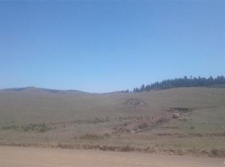 100 Elm Pl, Hartsel, CO 80449