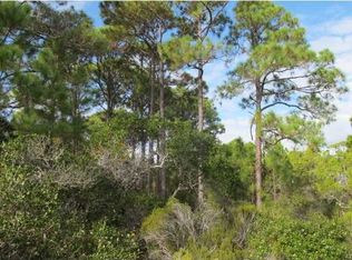 1448 Blueberry Rd, Saint George Island, FL 32328