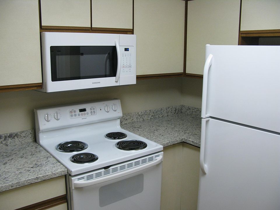 granite countertops, self cleaning range, outside vented microwave, ice maker