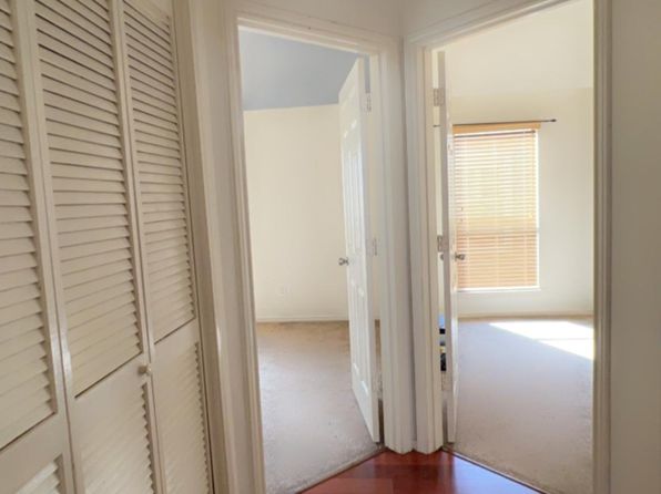 11115 Pigeon Bluff Dr