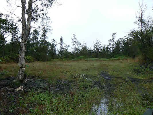 1st image of 40th St Lot 27