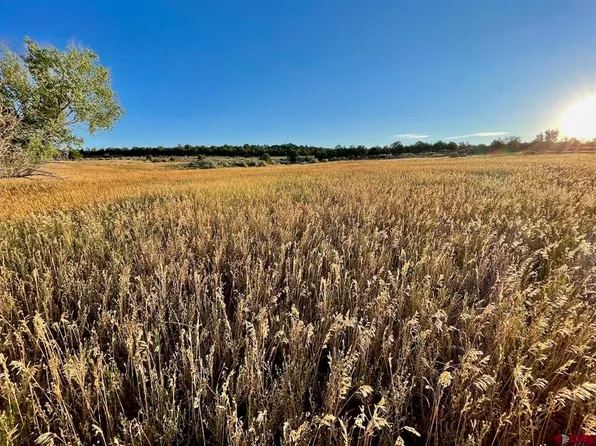 Lot 20 Road 30.5 Loop, Mancos, CO 81328