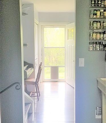 Natural light front door