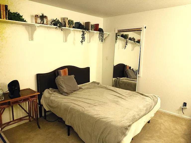 455 Delaware Dr — Photo 29