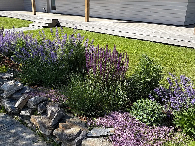 Front garden, tended by landlord.