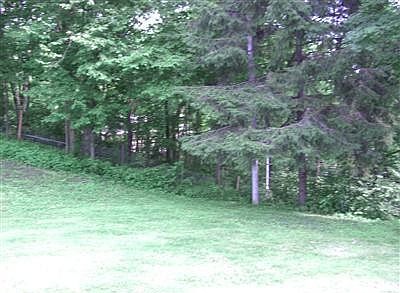 Very private backyard view #2