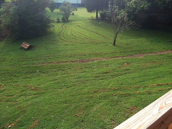 Very private backyard