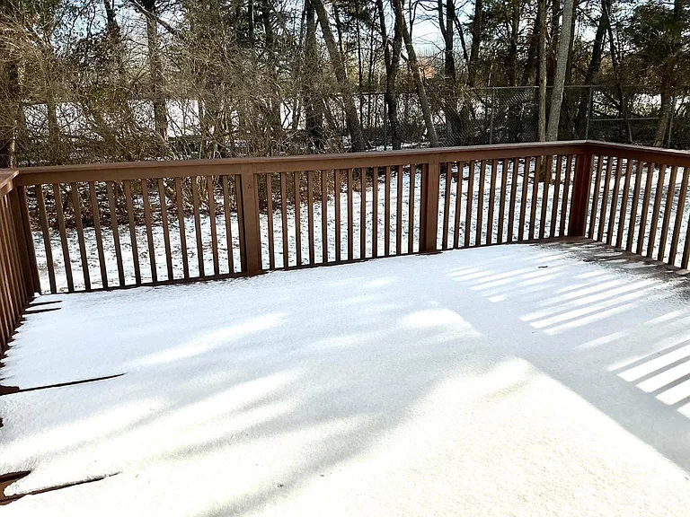 246 Hyde Park Rd — Photo 19