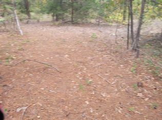 23389 Holly Rd, Mineola, TX 75773