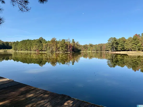 10 Seddon Point, Pell City, AL 35128