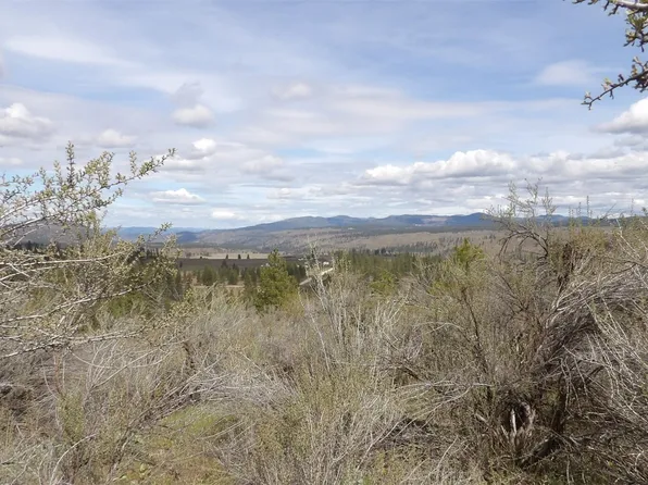 4 Pine Meadow Drive N, Davenport, WA 99122