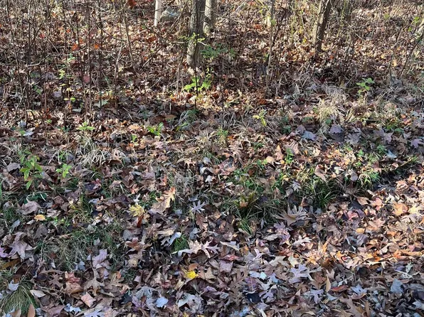 Shaffer Rd, Essex, MD 21221