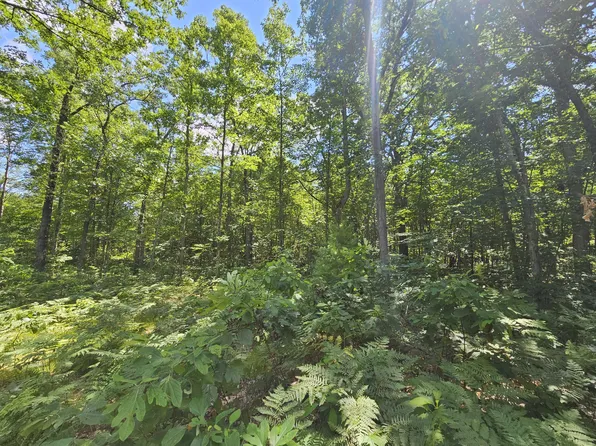 W Pinewood Blvd, Bitely, MI 49309