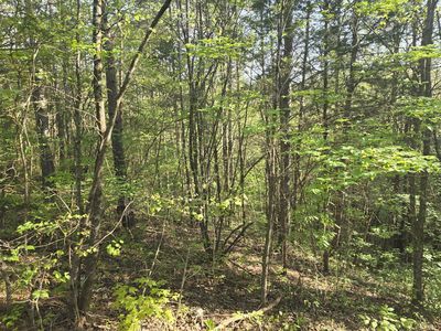 0 Bales Rd, Knoxville, TN, 37914