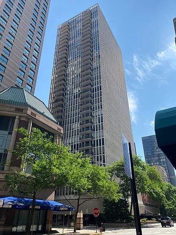 200 E Delaware Pl #4DE — Photo 43