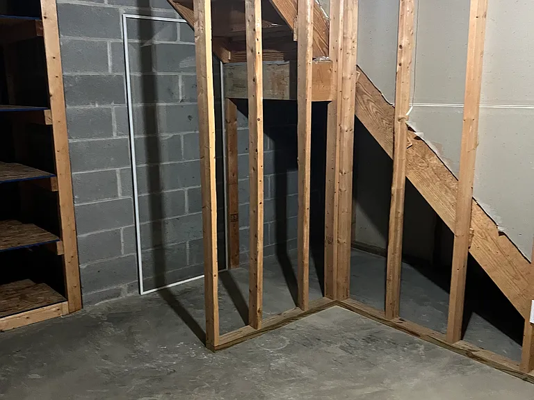 Basement storage area.