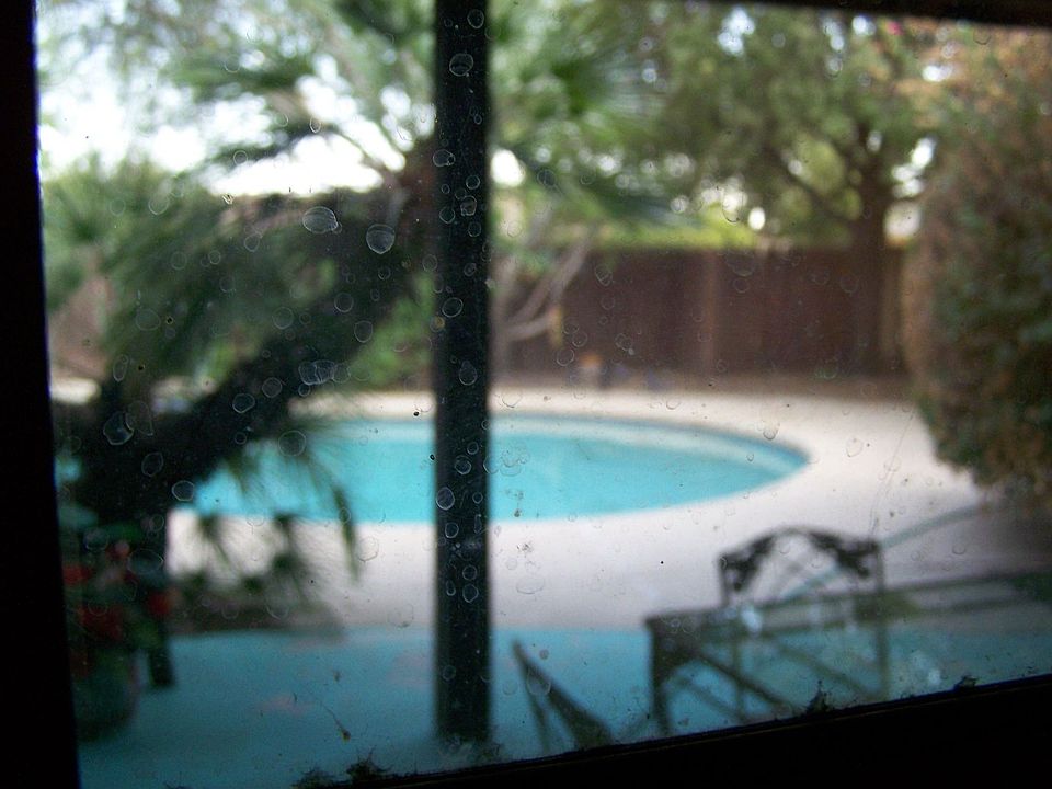 view from kit. window