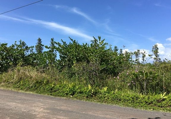 2nd image of 2nd Ave Lot 2838