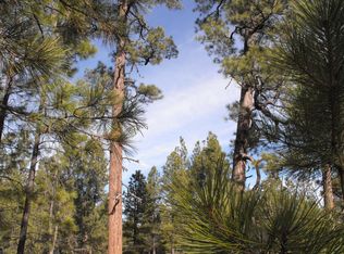 2133 Pine Canyon Dr, Happy Jack, AZ 86024