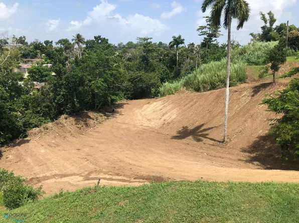 Kmhm 13.9 Bo Buena Vista Carr #167, Bayamon, PR 00956