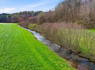 229 Seth Hyatt Rd, Ellijay, GA 30540