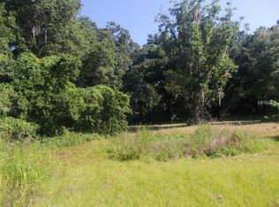 4224 Peacock Rd, Plant City, FL 33565