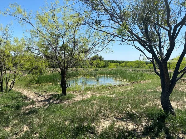 TRACT 1 County Road 494, Rising Star, TX 76471