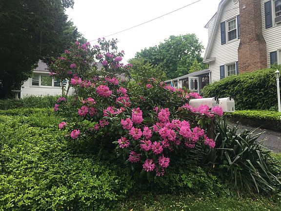 3rd image of 11 Shady Brook Ln