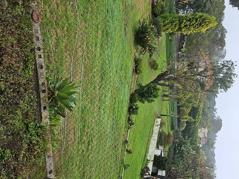 503 Marine View Ave — Photo 5