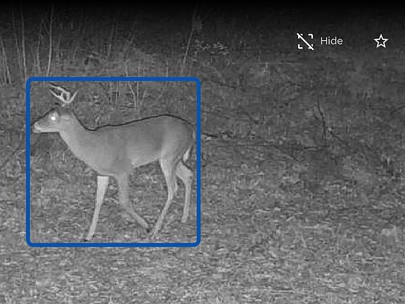 3rd image of 11839 Fm 344 E