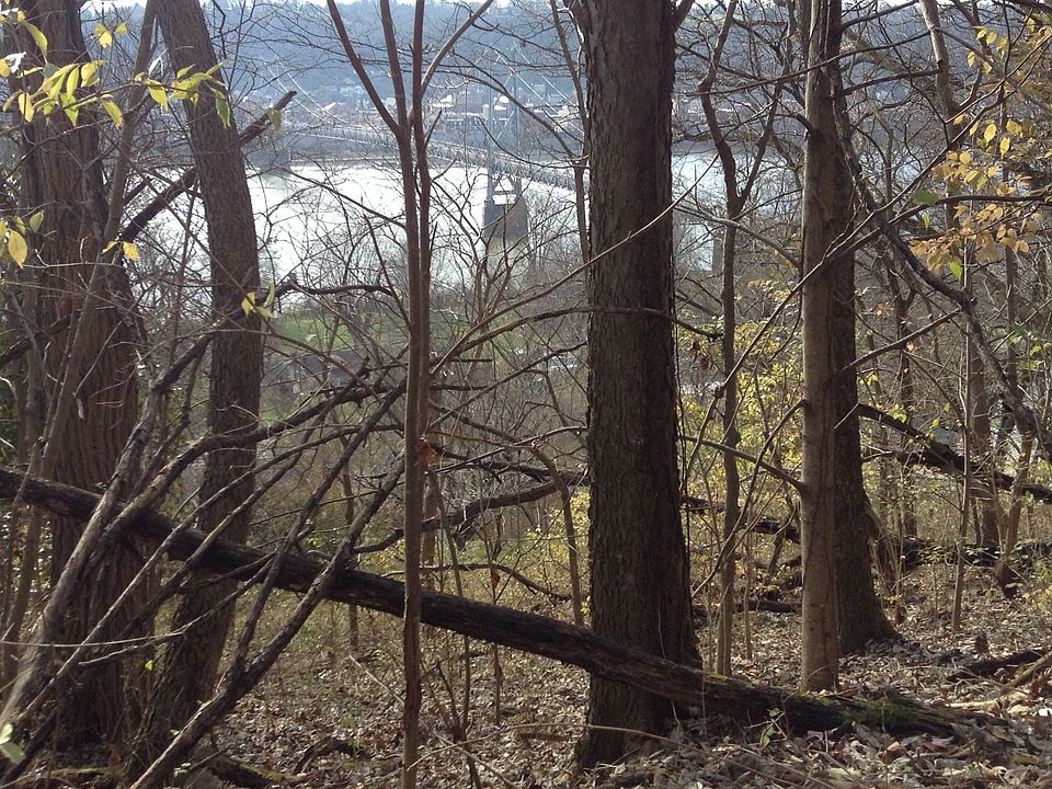 Maysville/Aberdeen bridge 