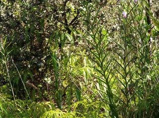 Pahoa Rd, Pahoa, HI 96778