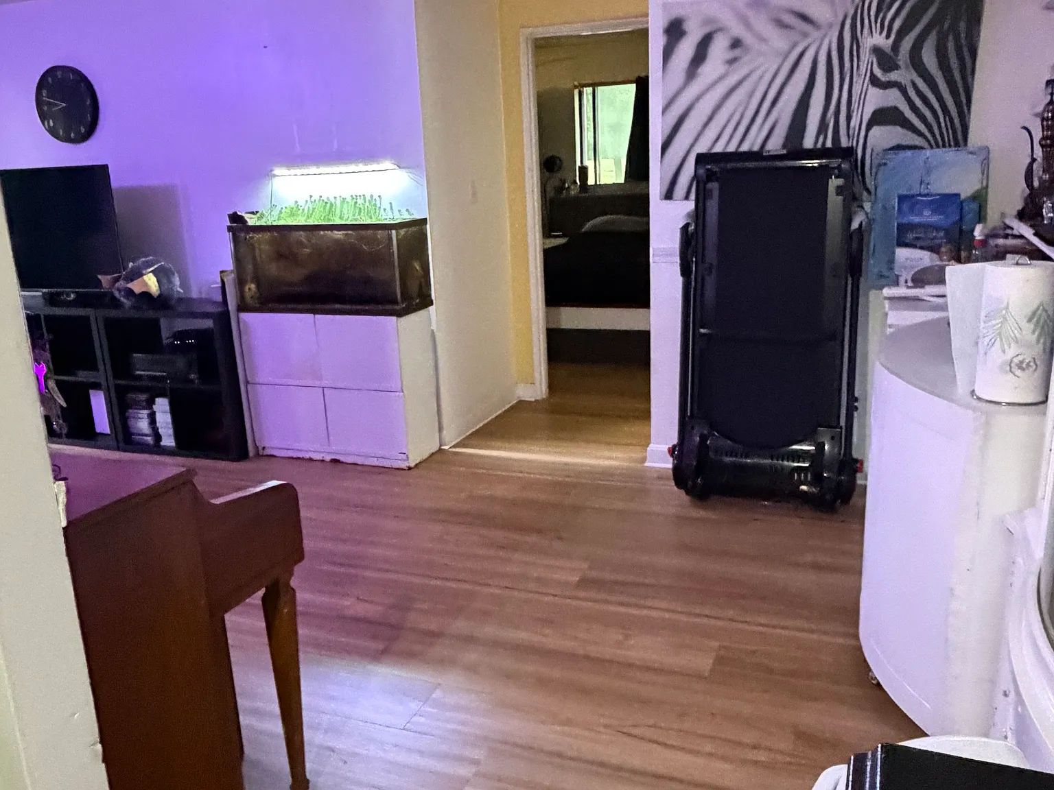 1 bed, 778 sqft, $1,995 — Photo 4