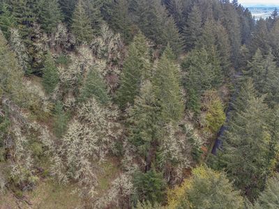 NW Niagara Dr, Corvallis, OR, 97330