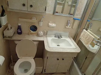 Sold by Thomas Lipovetsky, LREB