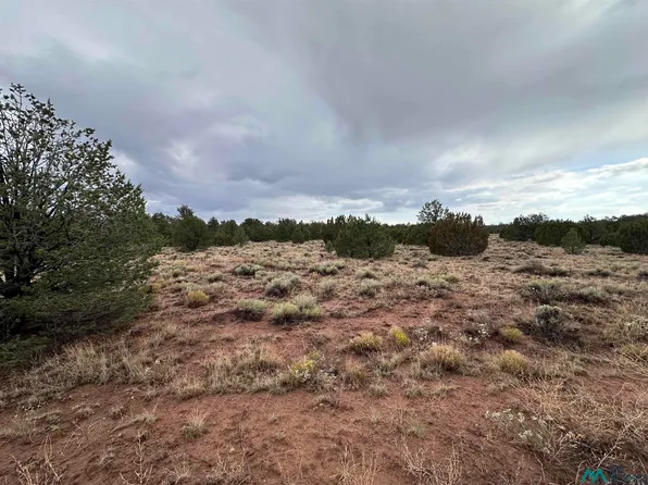 State Highway 612, Thoreau, NM 87323