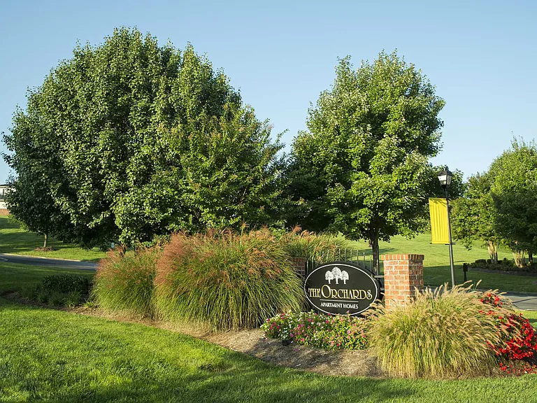The Orchards — Photo 15