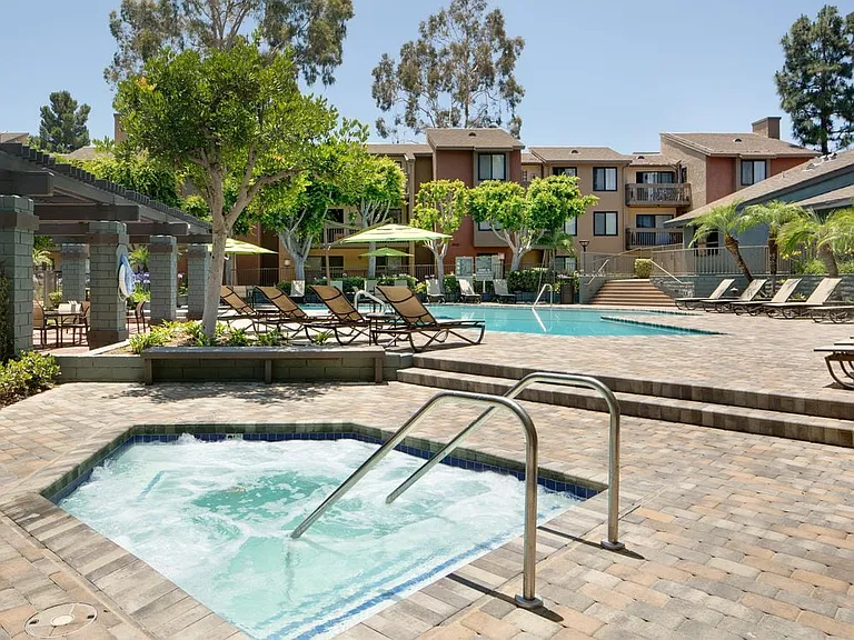 Swimming pool and spa
