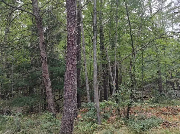 0 Deckers Rd, Roscommon, MI 48653