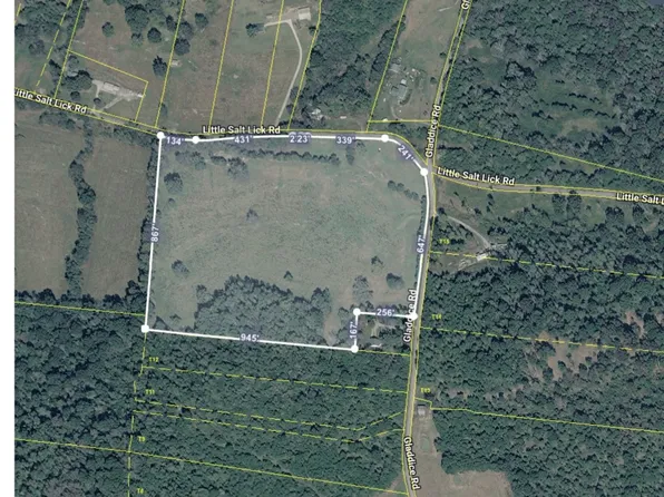 175 Little Salt Lick Rd, Carthage, TN 37030