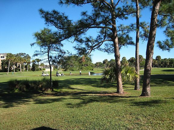 view from Florida room, backyard