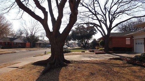 3rd image of 1234 Dalhart Dr