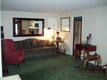 Large living room with wood burning fireplace.